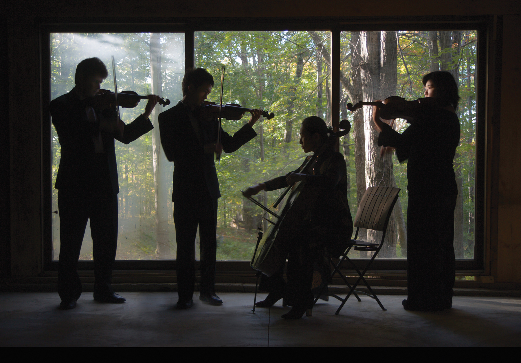 Borromeo String Quartet in shadow, playing their instruments in front of a window that looks out over a vast forest.