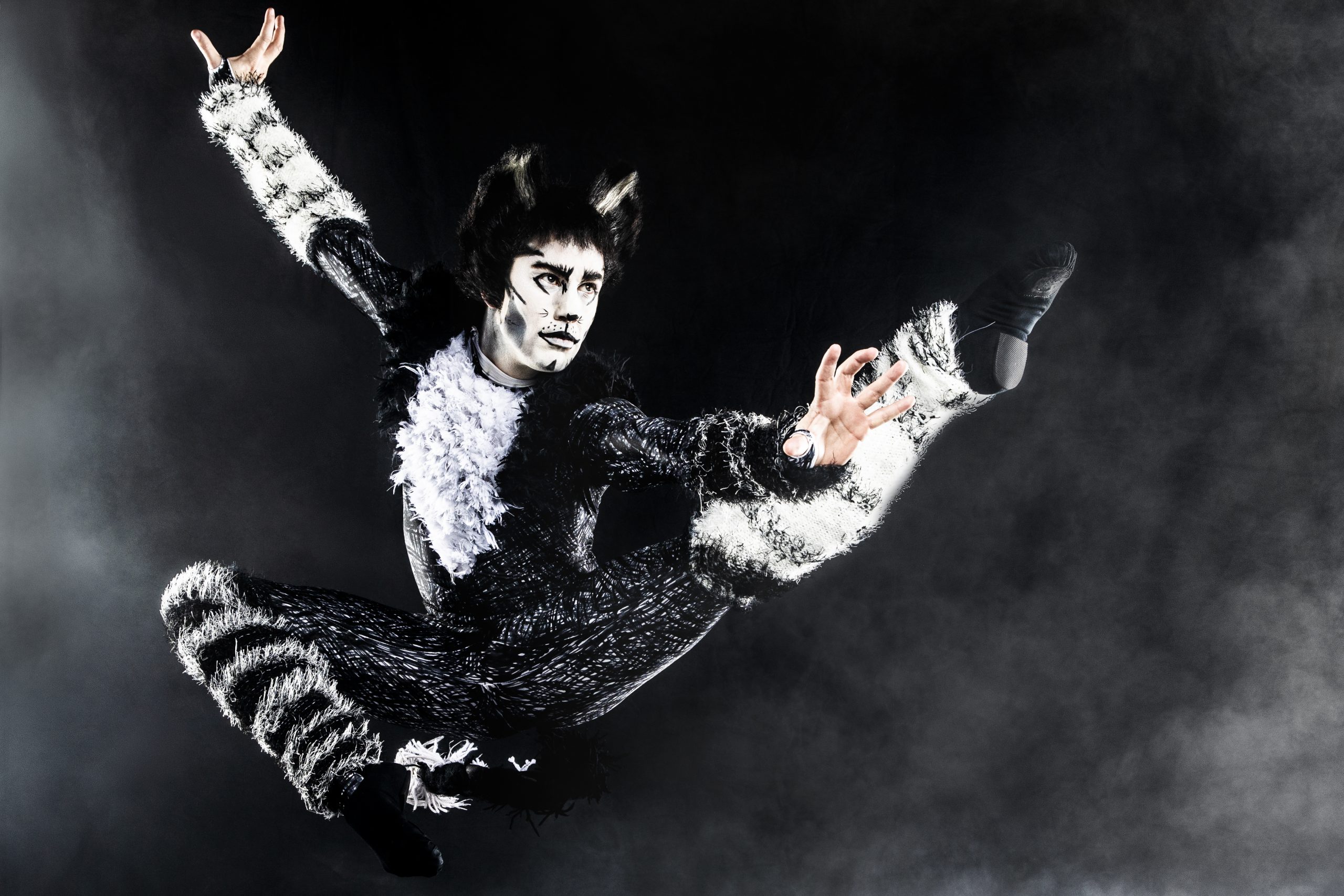 A phot ofo Mr Mistoffelees jumping in midari.