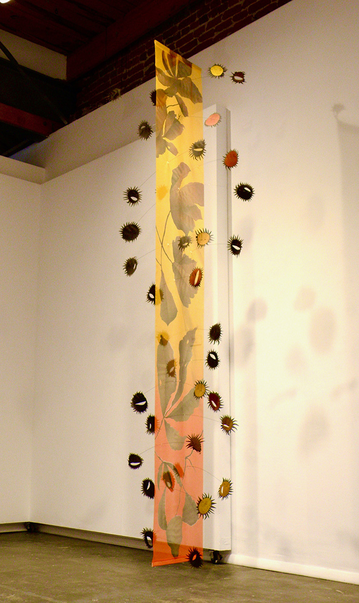 Barbara Baer's Installation artwork hangs from wall and ceiling