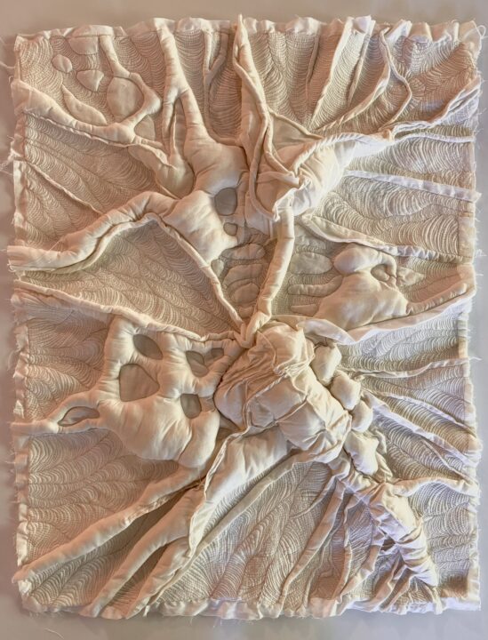 Quilt is made of cotton muslin that create 3-dimensional forms using wool batting