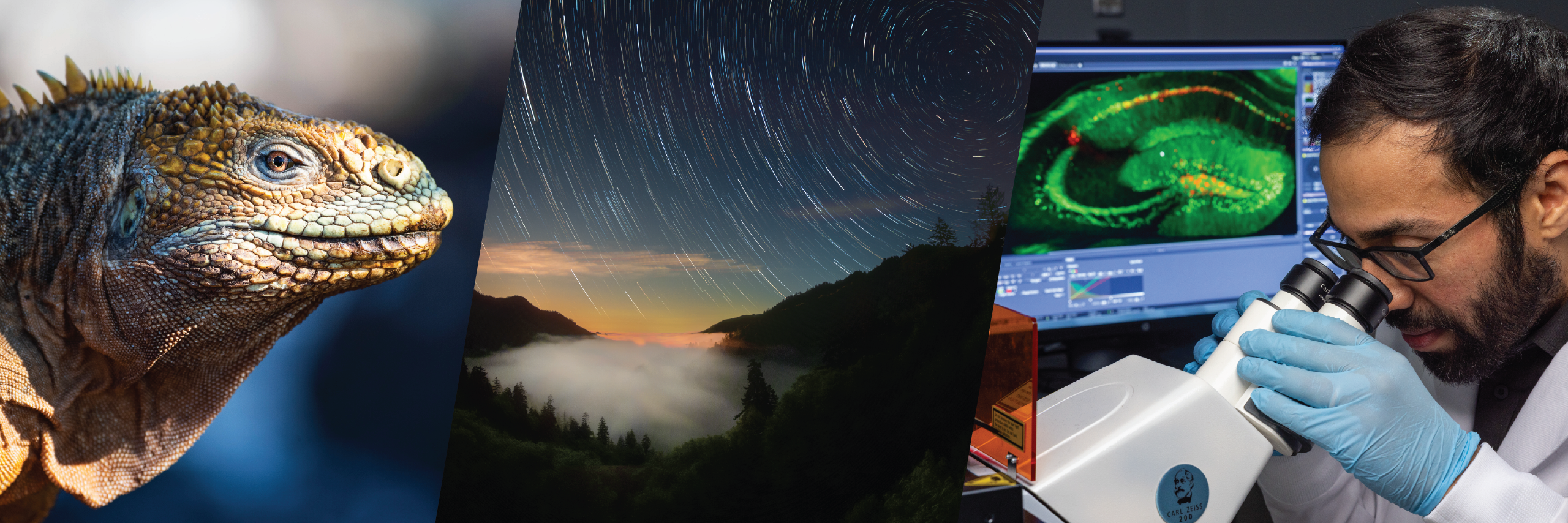 Collage of the three National Geographic Live shows coming to The Lincoln Center