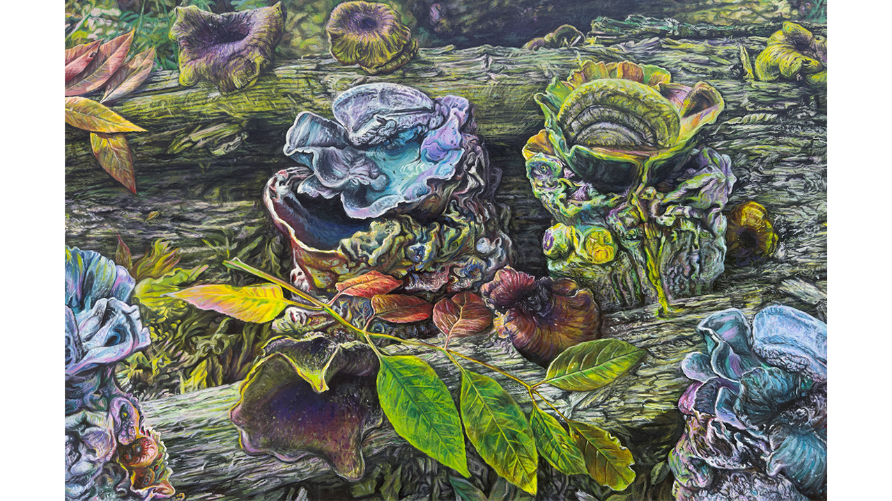 found objects and painted images combine to form a beautiful nature still-life